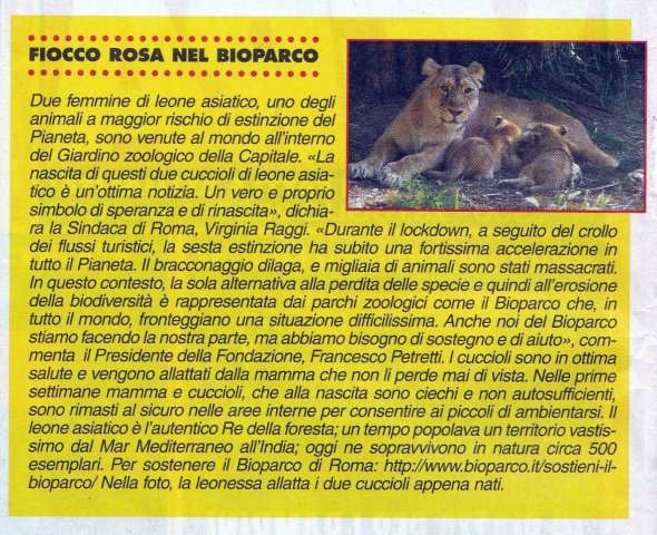 cuccioli al BioParcoLUGLIO2020
